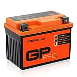 GP-PRO GP-001, 12V GEL 5Ah GEL Motorrad Batterie...