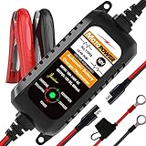 MOTOPOWER MP00205A 12V 800mA Automatisches...